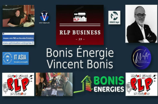 Vincent Bonis, Bonis Énergie