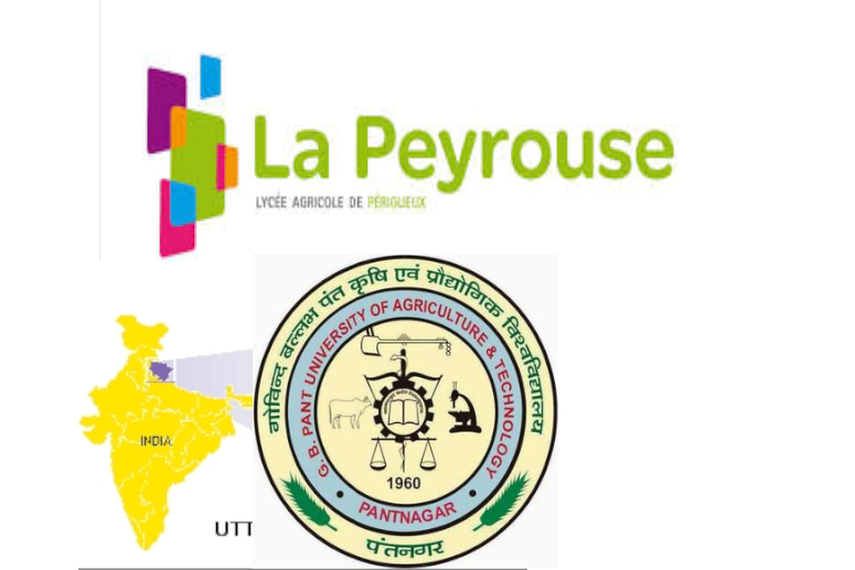 Les Actus locales de RLP