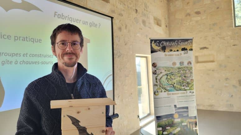 Les Actus locales de RLP