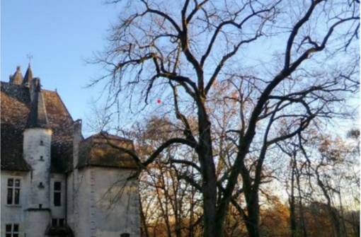 Le collectif L’arbre Patrimoine se crée pour une contre-expertise au château de Puyguilhem