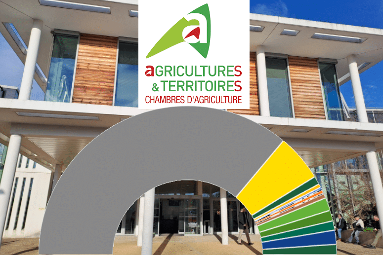 Les Actus locales de RLP