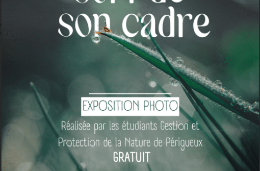 «La Nature Sort de son Cadre» Expo photo par quatre jeunes du Lycée La Peyrouse
