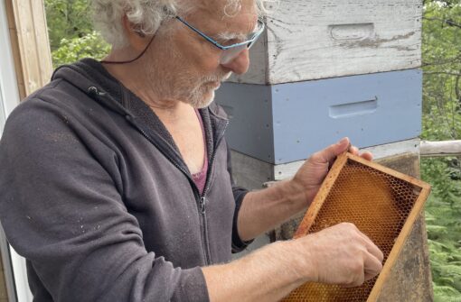 Un apiculteur qui chérit ses abeilles