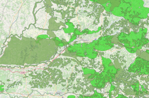 SOS Forêt Dordogne, les actions locales contre les coupes-rases