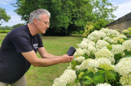 Contribuer à la science participative sur les insectes