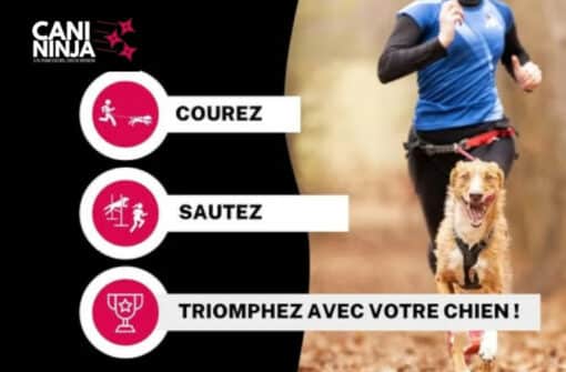 Retour sur la Cani-Ninja 2025, course canine avec obstacles en Dordogne