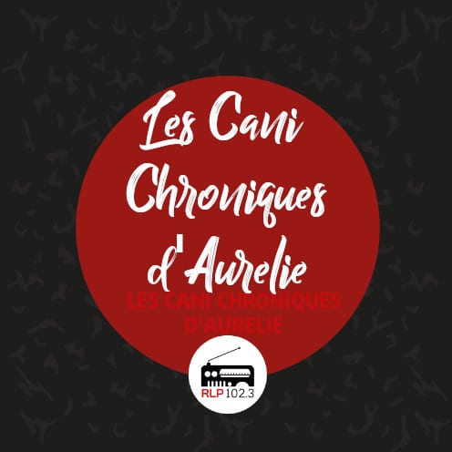 les-cani-chroniques-daurelie