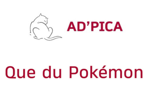 RLP au Japan Day 2025, Ad’Pica, l’univers pokémon avec Jean-Philippe