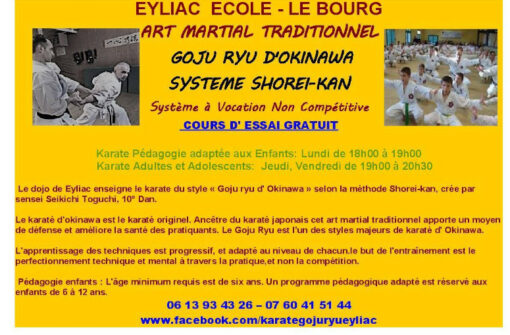 RLP au Japan Day 2025, Christophe et Hugues du Dojo de karate d’Eyliac