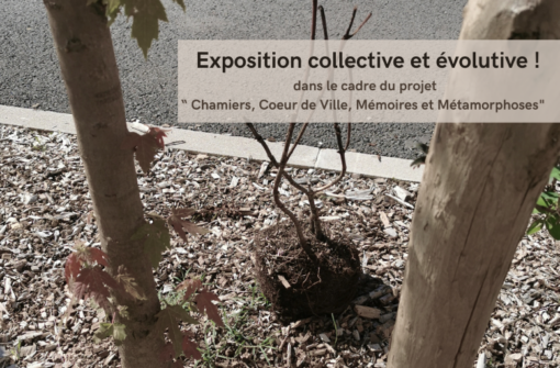 Vernissage de l’exposition « Le carnet d’évolution » à la Maison du Projet à Coulounieix-Chamiers