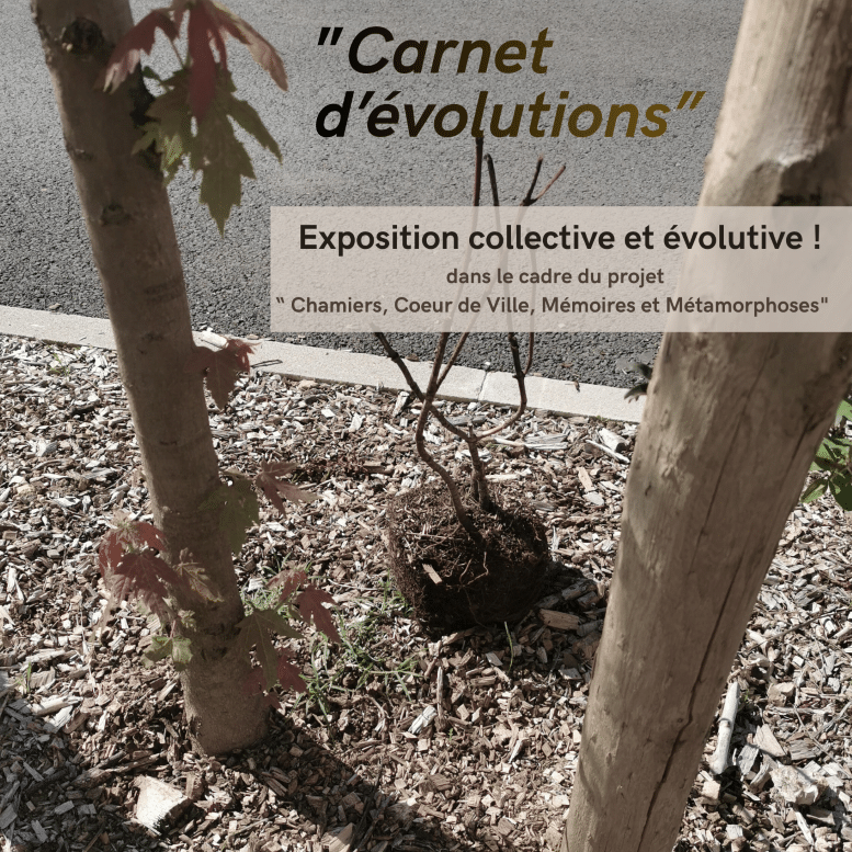 Vernissage de l'exposition "Le carnet d'évolution" à la Maison du Projet à Coulounieix-Chamiers episode artwork