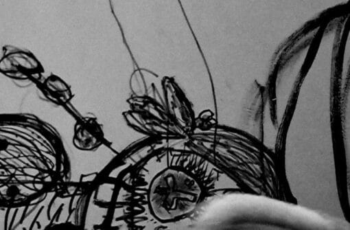 84NAWAK Dessinateur et musicien interview