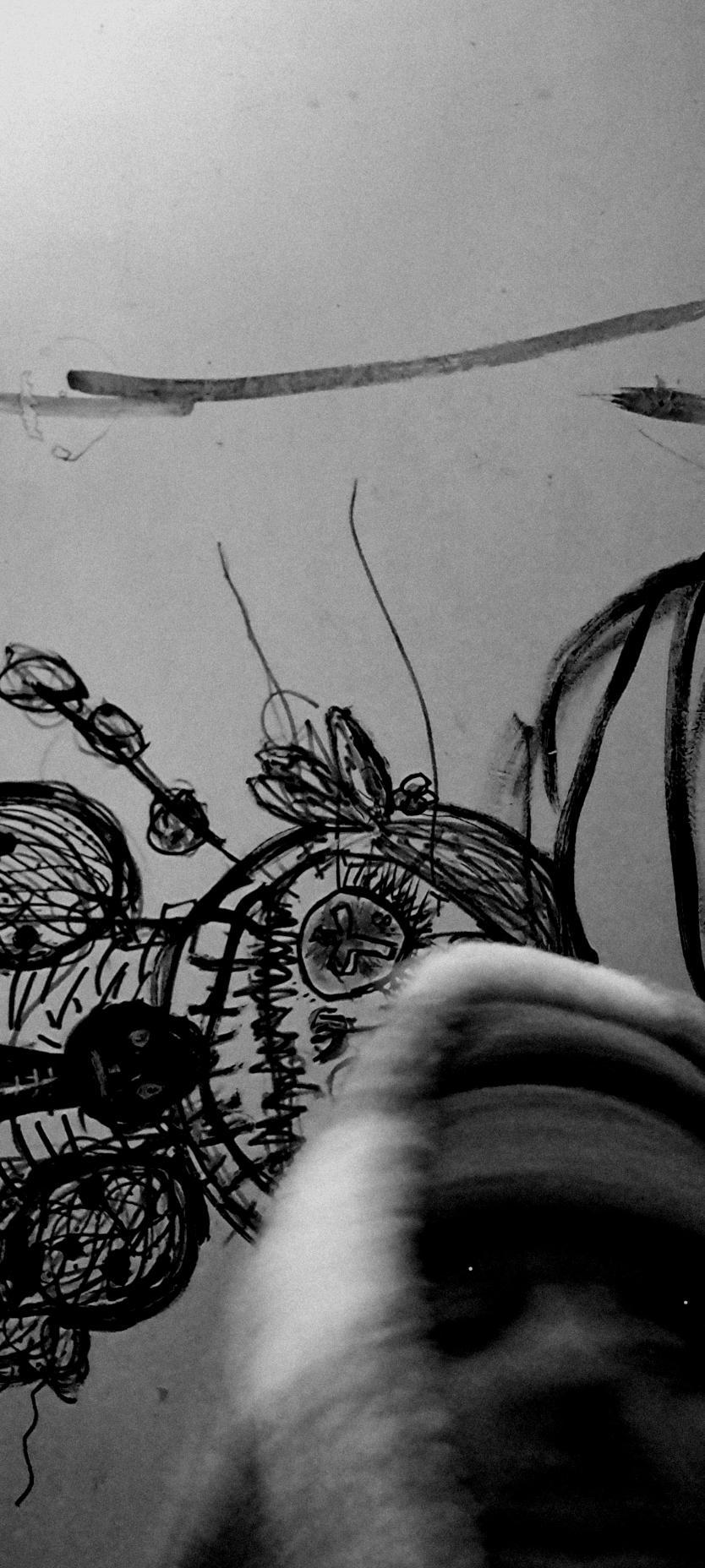 Les Actus locales de RLP