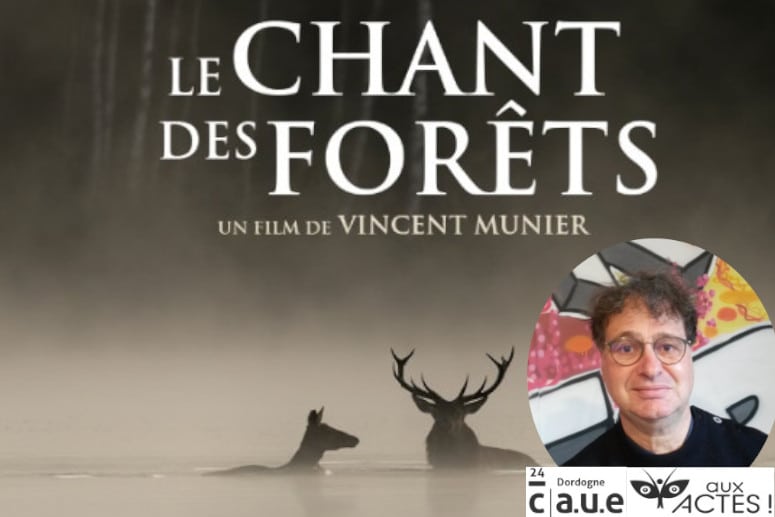 Les Actus locales de RLP