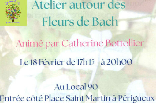 Atelier Fleurs de Bach animé par Catherine Bottolier