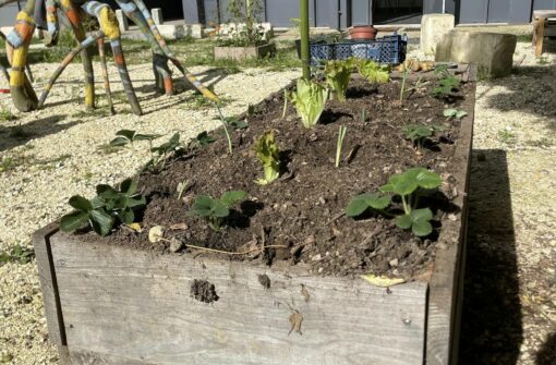 La compagnie Ouie dire et le Cockpit