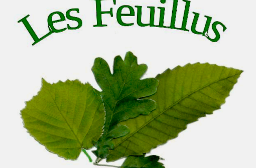 Un GFCE (Groupement Forestier Citoyen Ecologique) Pascale et Xavier