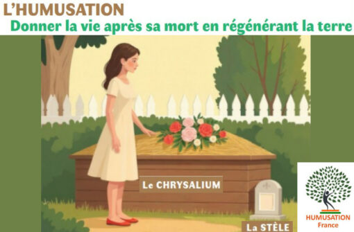Humusation France, signez la pétition pour un enterrement moins polluant
