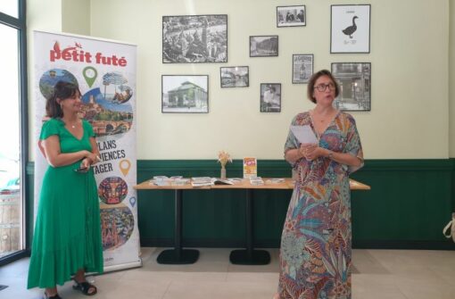 Petit Futé Périgord Dordogne 2026-2027