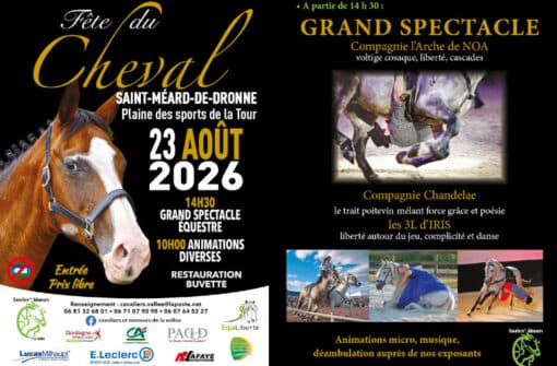 Les spectacles des compagnies l&rsquo;Arche de NOA, Chandelae et 3L d&rsquo;IRIS pour la Fête du Cheval de 2026