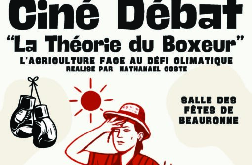 La projection – débat autour du documentaire « La Théorie du Boxeur »